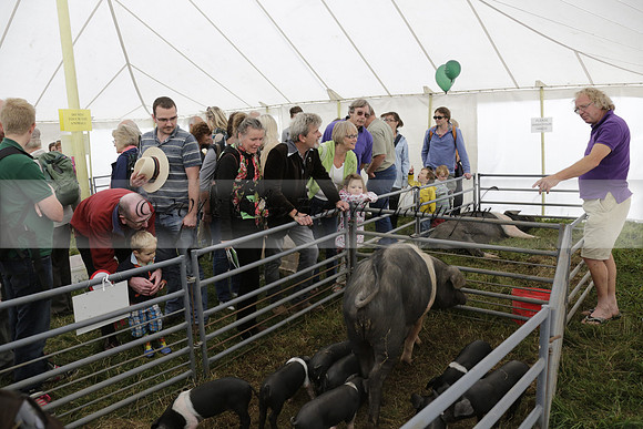 The Alresford Agricultural Show Tichbourne on Saturday 2013.09.07 www.polopictures.co.uk