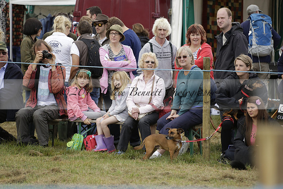 The Alresford Agricultural Show Tichbourne on Saturday 2013.09.07 www.polopictures.co.uk