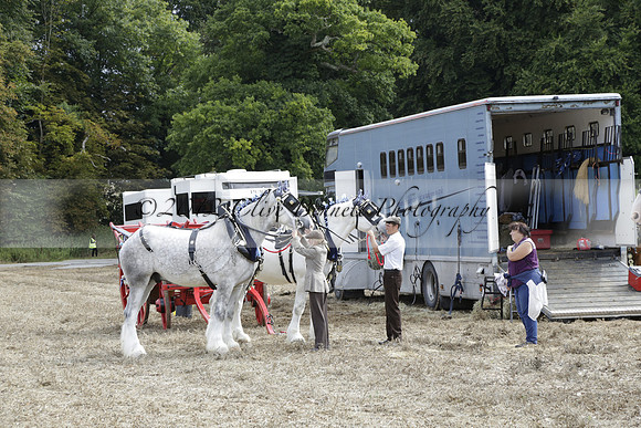 The Alresford Agricultural Show Tichbourne on Saturday 2013.09.07 www.polopictures.co.uk
