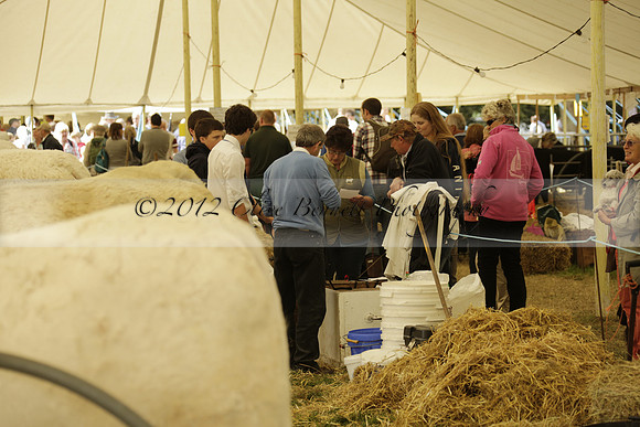 The Alresford Agricultural Show Tichbourne on Saturday 2013.09.07 www.polopictures.co.uk