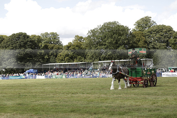 The Alresford Agricultural Show Tichbourne on Saturday 2013.09.07 www.polopictures.co.uk