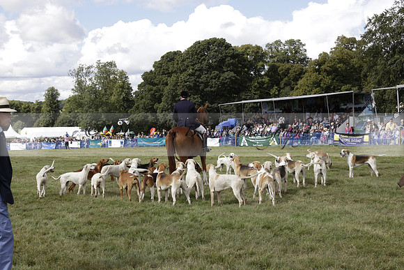 The Alresford Agricultural Show Tichbourne on Saturday 2013.09.07 www.polopictures.co.uk