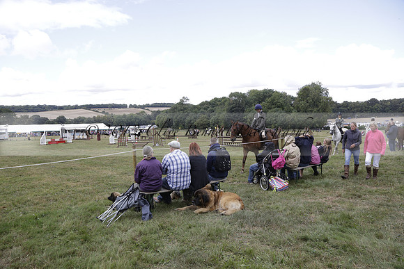 The Alresford Agricultural Show Tichbourne on Saturday 2013.09.07 www.polopictures.co.uk