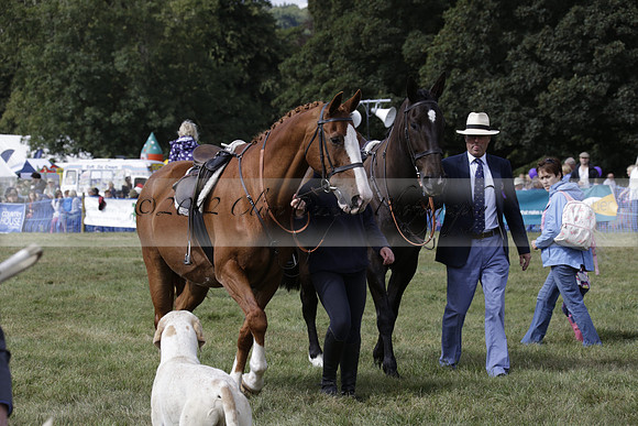 The Alresford Agricultural Show Tichbourne on Saturday 2013.09.07 www.polopictures.co.uk