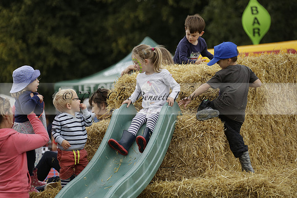 The Alresford Agricultural Show Tichbourne on Saturday 2013.09.07 www.polopictures.co.uk