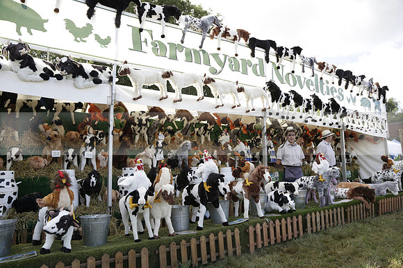 The Alresford Agricultural Show Tichbourne on Saturday 2013.09.07 www.polopictures.co.uk