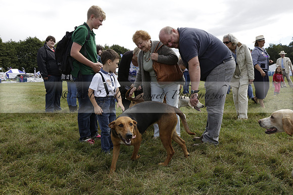 The Alresford Agricultural Show Tichbourne on Saturday 2013.09.07 www.polopictures.co.uk