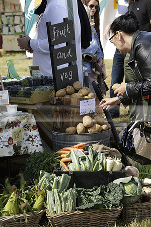 The Alresford Agricultural Show Tichbourne on Saturday 2013.09.07 www.polopictures.co.uk
