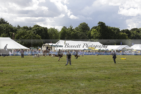 The Alresford Agricultural Show Tichbourne on Saturday 2013.09.07 www.polopictures.co.uk