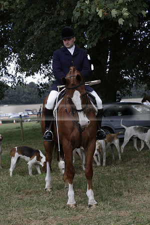 The Alresford Agricultural Show Tichbourne on Saturday 2013.09.07 www.polopictures.co.uk