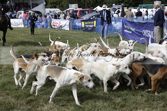 The Alresford Agricultural Show Tichbourne on Saturday 2013.09.07 www.polopictures.co.uk
