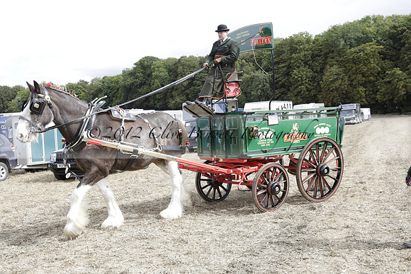 The Alresford Agricultural Show Tichbourne on Saturday 2013.09.07 www.polopictures.co.uk