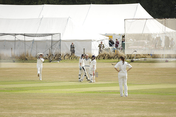 The Alresford Agricultural Show Tichbourne on Saturday 2013.09.07 www.polopictures.co.uk