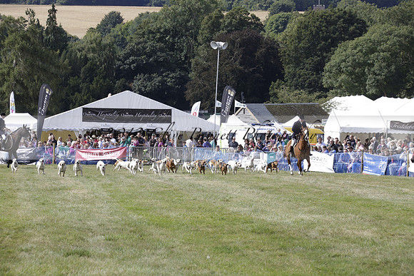 The Alresford Agricultural Show Tichbourne on Saturday 2013.09.07 www.polopictures.co.uk