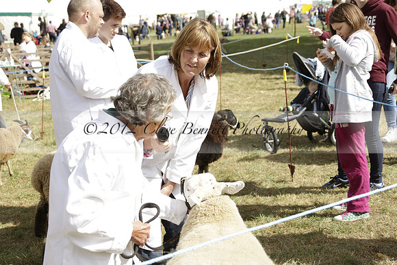 The Alresford Agricultural Show Tichbourne on Saturday 2013.09.07 www.polopictures.co.uk