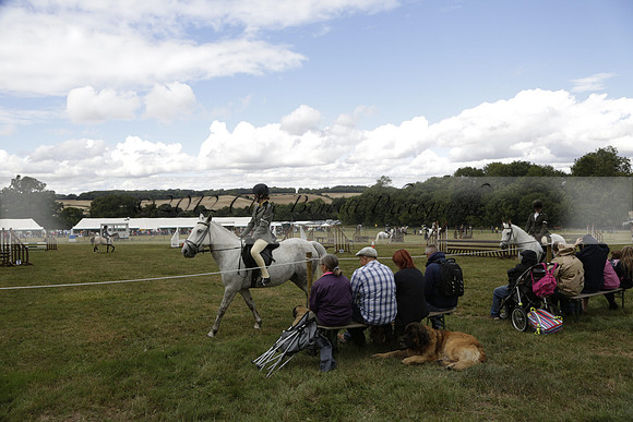 The Alresford Agricultural Show Tichbourne on Saturday 2013.09.07 www.polopictures.co.uk