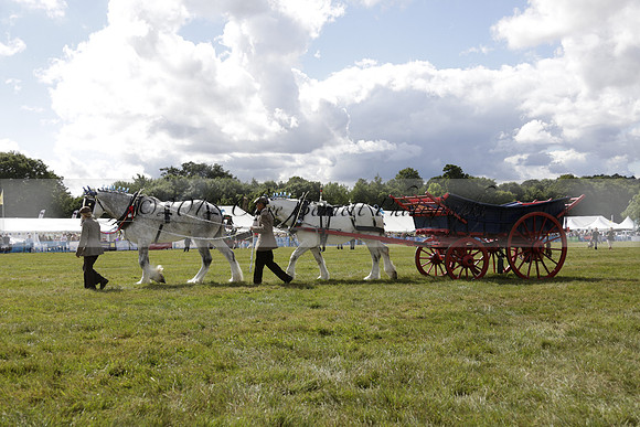 The Alresford Agricultural Show Tichbourne on Saturday 2013.09.07 www.polopictures.co.uk