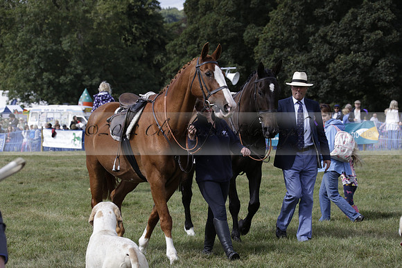 The Alresford Agricultural Show Tichbourne on Saturday 2013.09.07 www.polopictures.co.uk