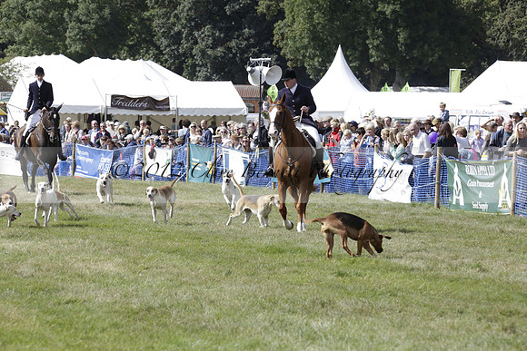 The Alresford Agricultural Show Tichbourne on Saturday 2013.09.07 www.polopictures.co.uk