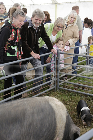 The Alresford Agricultural Show Tichbourne on Saturday 2013.09.07 www.polopictures.co.uk