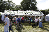 The Alresford Agricultural Show Tichbourne on Saturday 2013.09.07 www.polopictures.co.uk