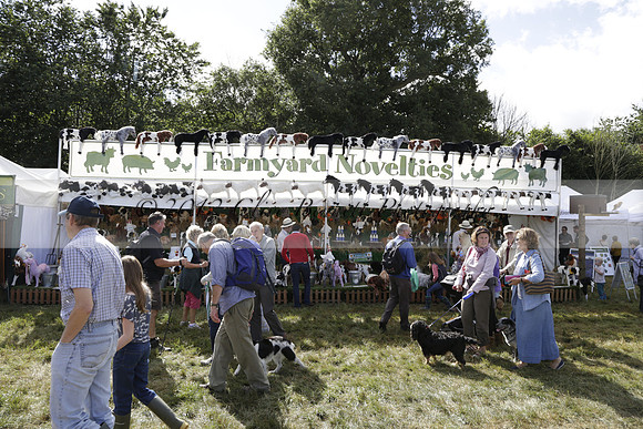 The Alresford Agricultural Show Tichbourne on Saturday 2013.09.07 www.polopictures.co.uk