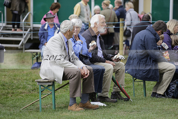The Alresford Agricultural Show Tichbourne on Saturday 2013.09.07 www.polopictures.co.uk