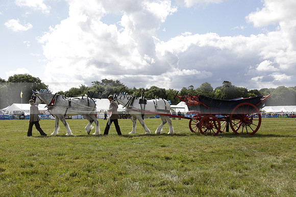 The Alresford Agricultural Show Tichbourne on Saturday 2013.09.07 www.polopictures.co.uk