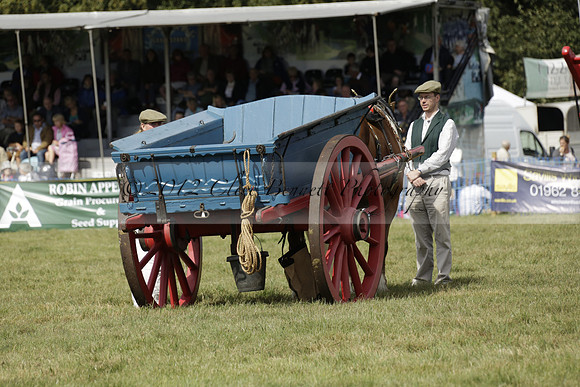 The Alresford Agricultural Show Tichbourne on Saturday 2013.09.07 www.polopictures.co.uk