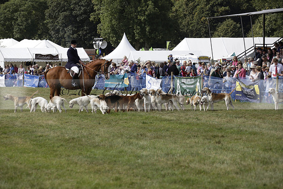 The Alresford Agricultural Show Tichbourne on Saturday 2013.09.07 www.polopictures.co.uk