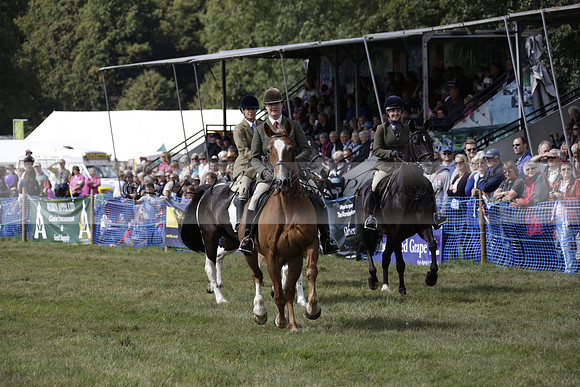 The Alresford Agricultural Show Tichbourne on Saturday 2013.09.07 www.polopictures.co.uk