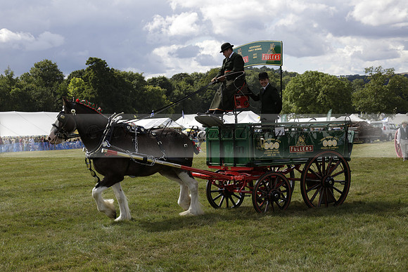 The Alresford Agricultural Show Tichbourne on Saturday 2013.09.07 www.polopictures.co.uk