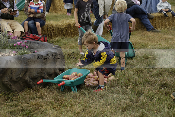 The Alresford Agricultural Show Tichbourne on Saturday 2013.09.07 www.polopictures.co.uk