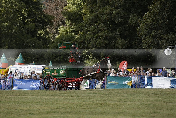 The Alresford Agricultural Show Tichbourne on Saturday 2013.09.07 www.polopictures.co.uk