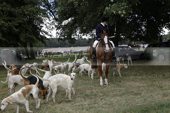 The Alresford Agricultural Show Tichbourne on Saturday 2013.09.07 www.polopictures.co.uk