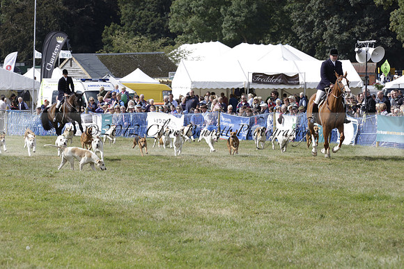 The Alresford Agricultural Show Tichbourne on Saturday 2013.09.07 www.polopictures.co.uk