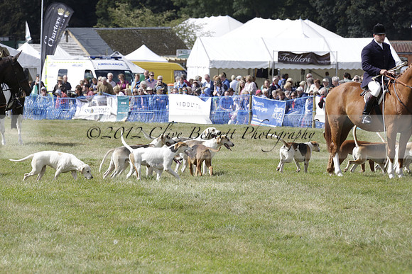 The Alresford Agricultural Show Tichbourne on Saturday 2013.09.07 www.polopictures.co.uk