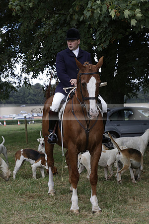 The Alresford Agricultural Show Tichbourne on Saturday 2013.09.07 www.polopictures.co.uk