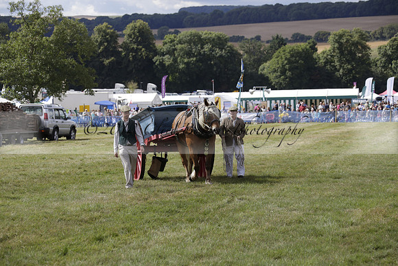The Alresford Agricultural Show Tichbourne on Saturday 2013.09.07 www.polopictures.co.uk