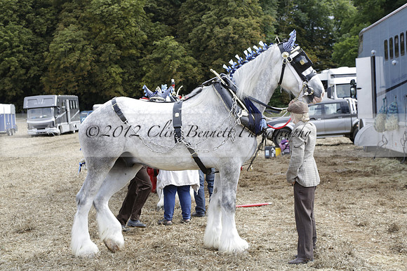 The Alresford Agricultural Show Tichbourne on Saturday 2013.09.07 www.polopictures.co.uk
