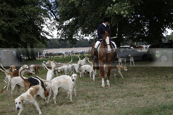 The Alresford Agricultural Show Tichbourne on Saturday 2013.09.07 www.polopictures.co.uk