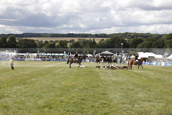 The Alresford Agricultural Show Tichbourne on Saturday 2013.09.07 www.polopictures.co.uk