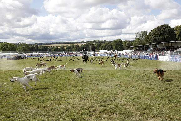 The Alresford Agricultural Show Tichbourne on Saturday 2013.09.07 www.polopictures.co.uk