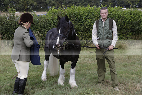 The Alresford Agricultural Show Tichbourne on Saturday 2013.09.07 www.polopictures.co.uk