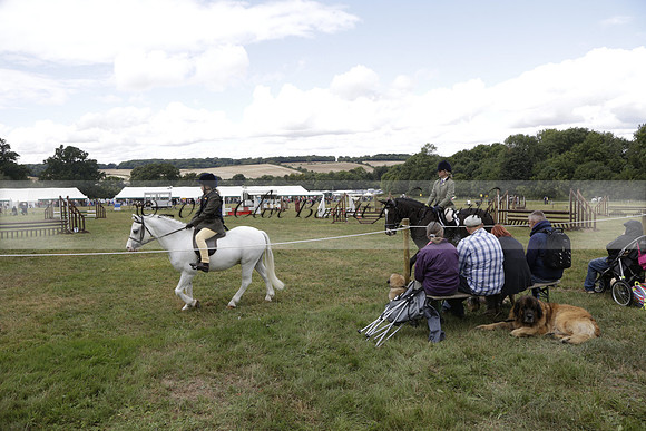 The Alresford Agricultural Show Tichbourne on Saturday 2013.09.07 www.polopictures.co.uk