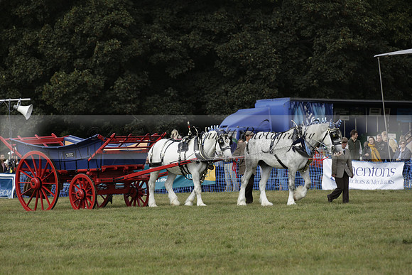The Alresford Agricultural Show Tichbourne on Saturday 2013.09.07 www.polopictures.co.uk