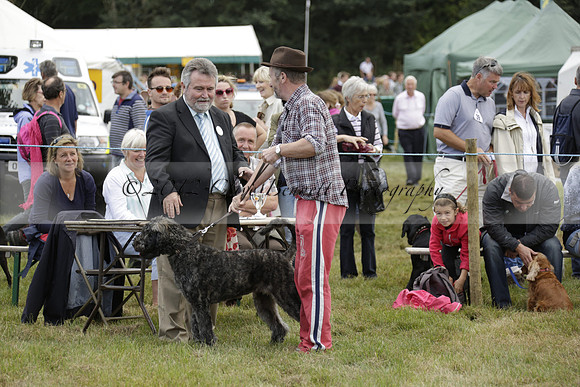 The Alresford Agricultural Show Tichbourne on Saturday 2013.09.07 www.polopictures.co.uk