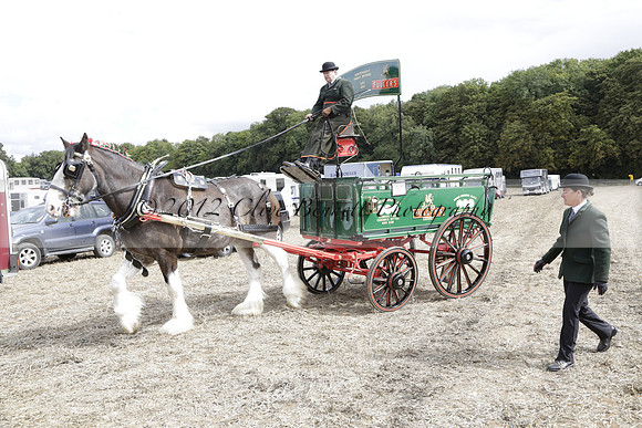 The Alresford Agricultural Show Tichbourne on Saturday 2013.09.07 www.polopictures.co.uk
