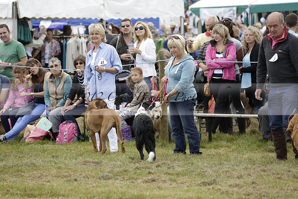 The Alresford Agricultural Show Tichbourne on Saturday 2013.09.07 www.polopictures.co.uk
