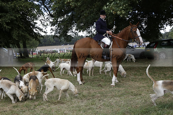 The Alresford Agricultural Show Tichbourne on Saturday 2013.09.07 www.polopictures.co.uk